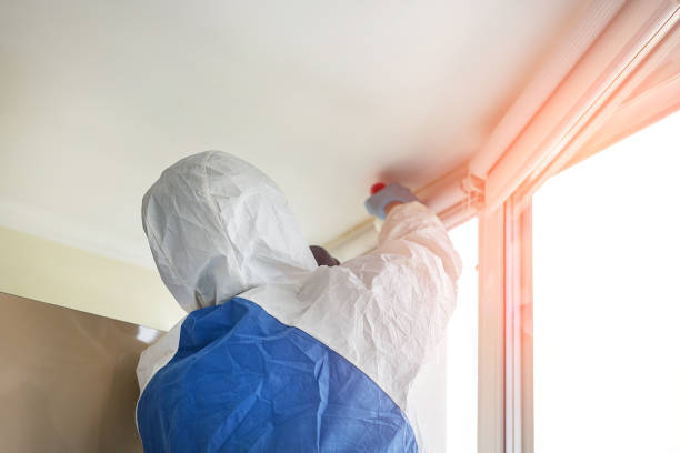 Why You Should Choose Our Mold Remediation Services in Pewee Valley, KY